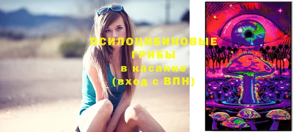 apvp Новокубанск