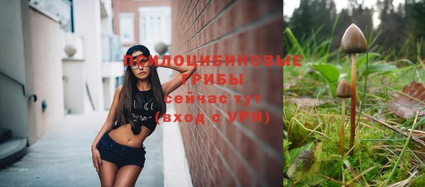 2c-b Балахна