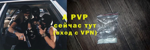 PSILOCYBIN Горнозаводск