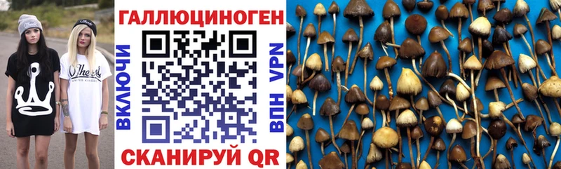 Галлюциногенные грибы Magic Shrooms  Среднеуральск 